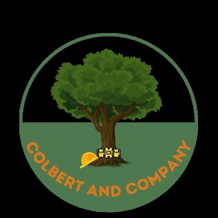 Slide of Colbert & Company