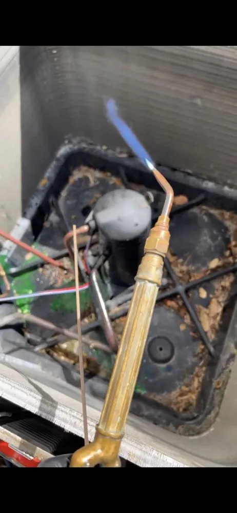 Slide of Cold Hunters