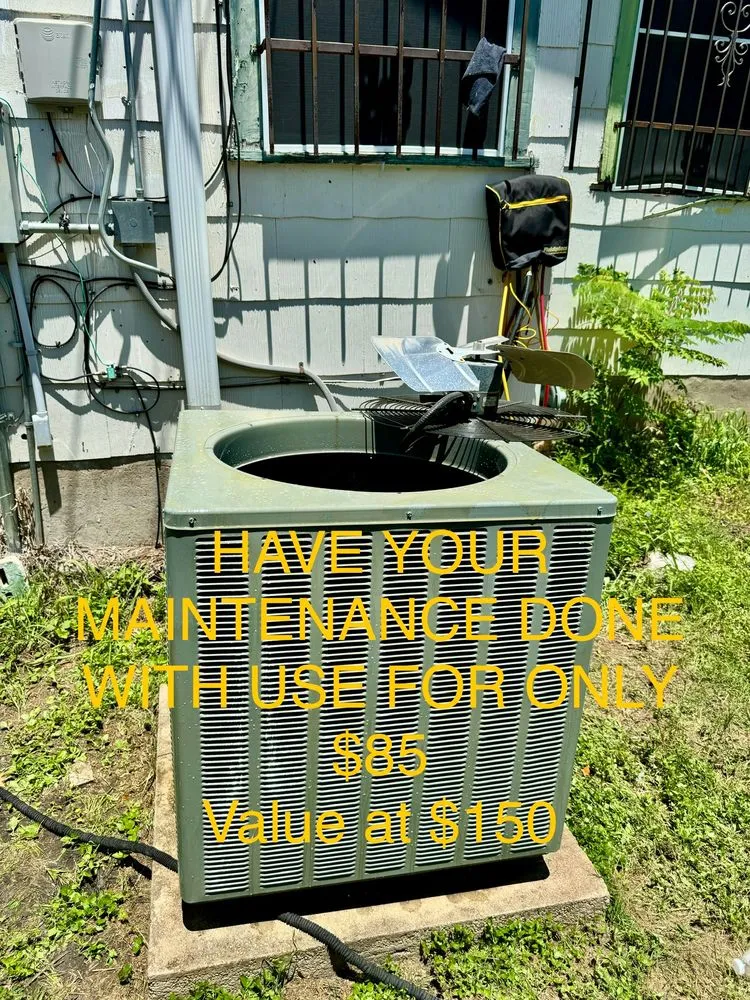 Slide of Cold-living