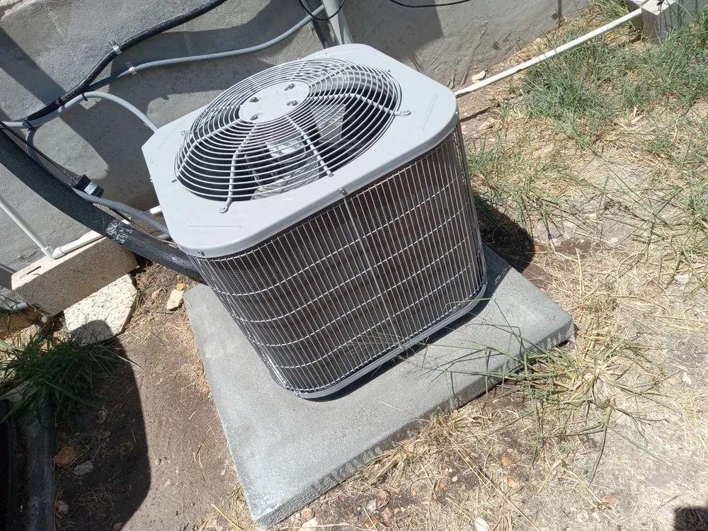 Slide of Cold-living