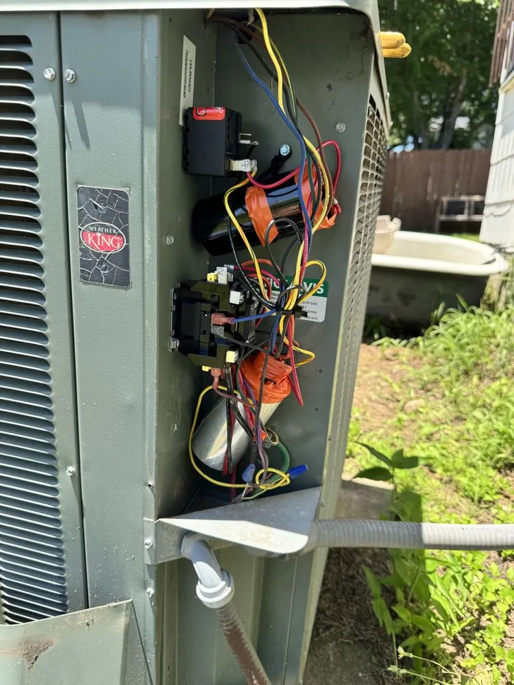 Slide of Cold-living