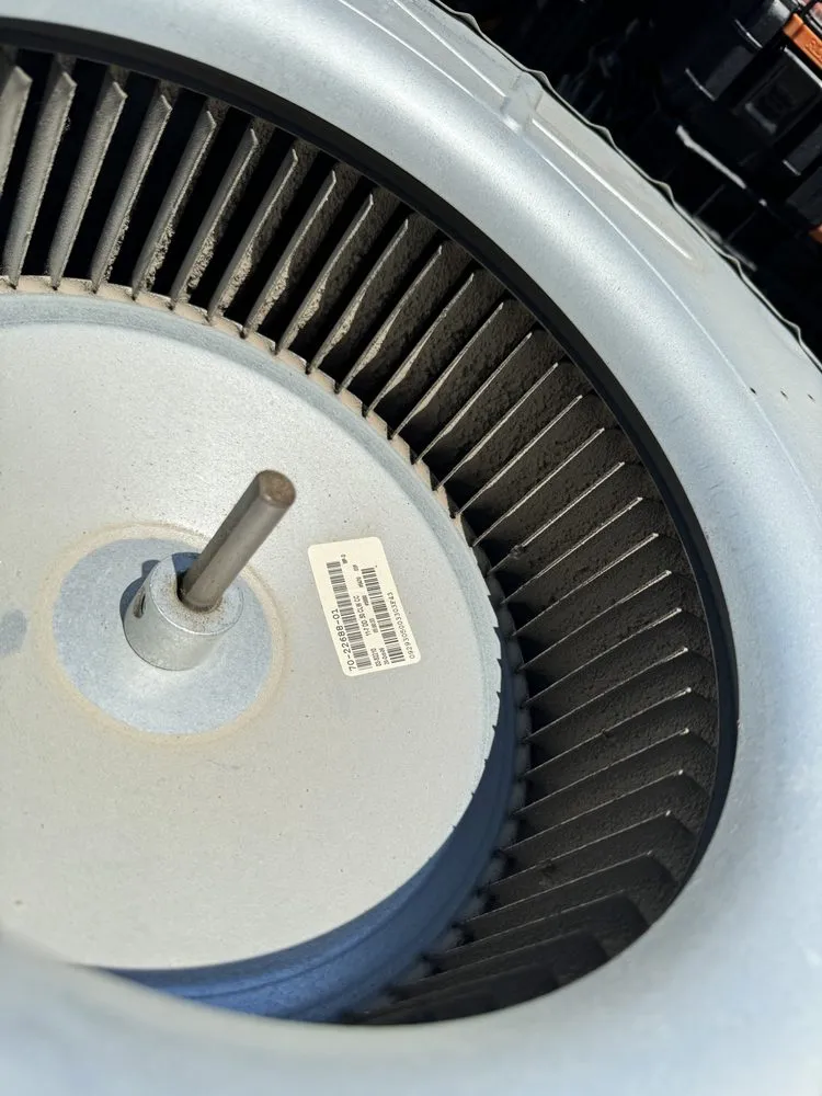 Slide of Cold-living