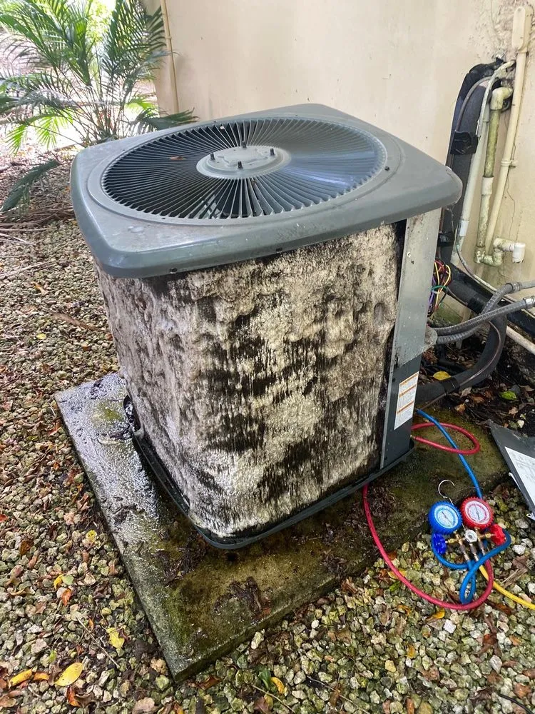 Slide of Cold World Solutions