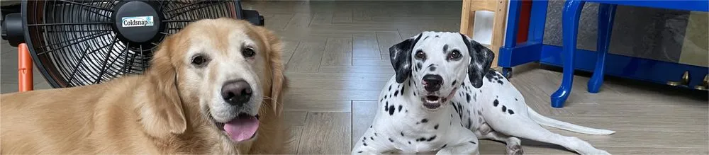 Slide of ColdsnapUSA