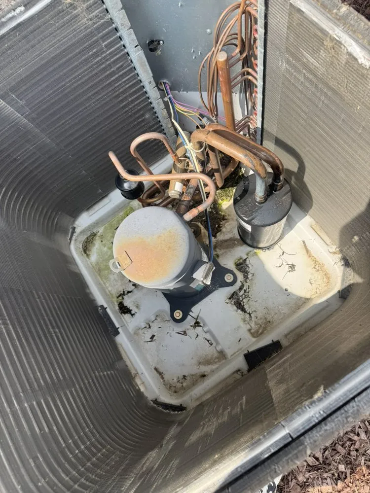 Reliable air conditioning tune-up in Piney Flats, TN by Cole’s Climate Solutions