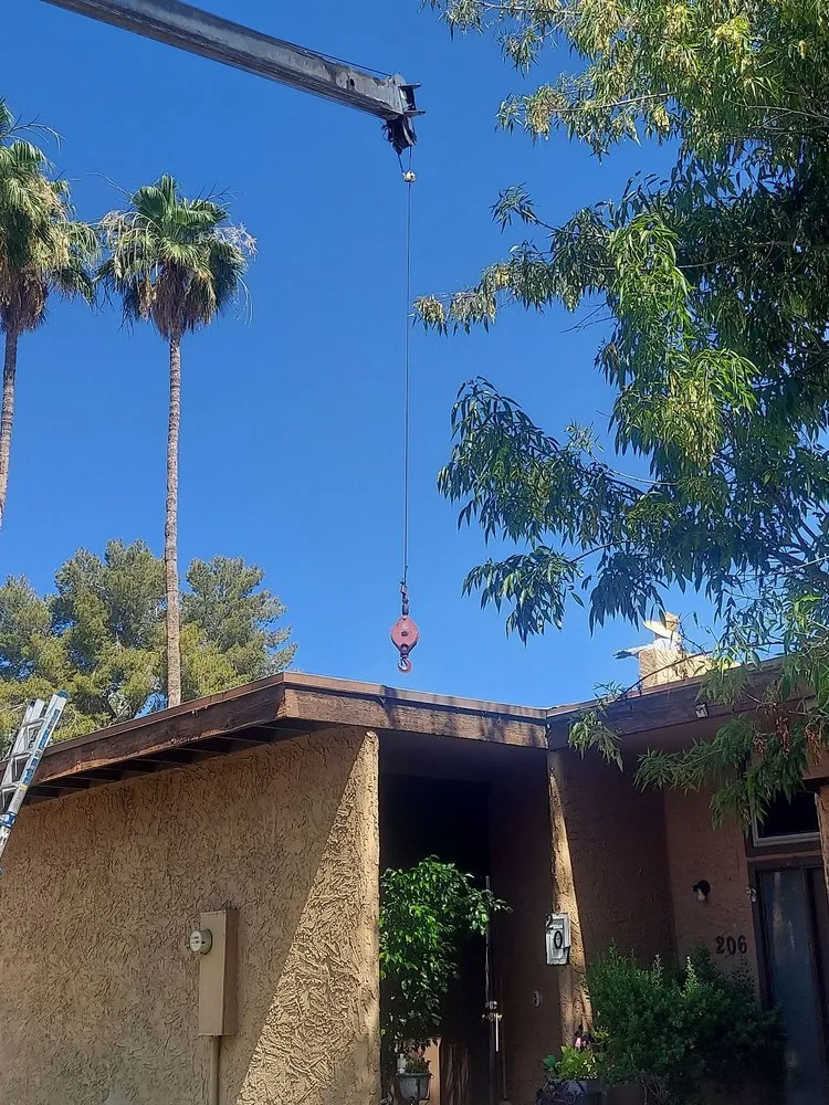 Slide of Collins Comfort Masters