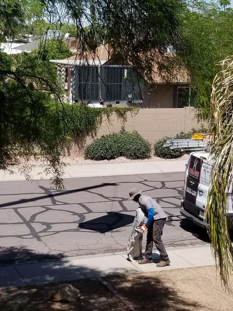 Slide of Collins Commercial Services