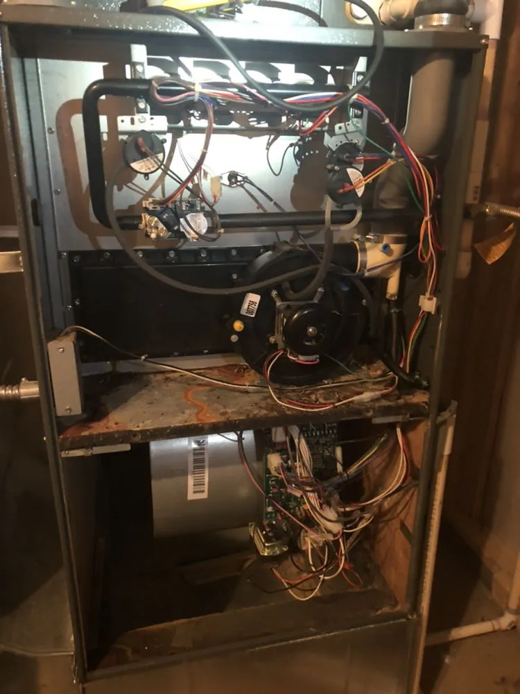 Slide of Colorado Native Company