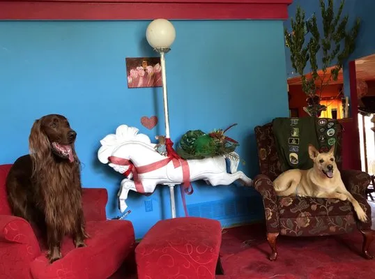 Colorado Proud Heating And Cooling