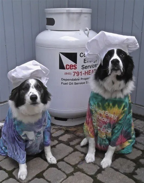 Slide of Combined Energy Services