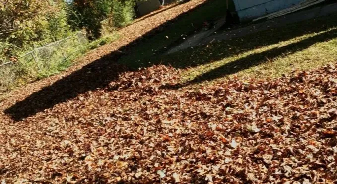 Slide of Comfort & Beauty Home Services