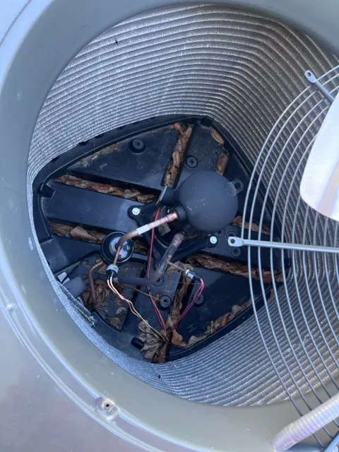 Slide of Comfort 101