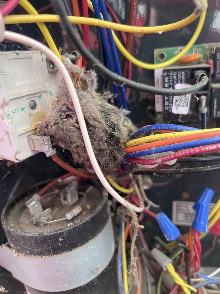 Slide of Comfort 101