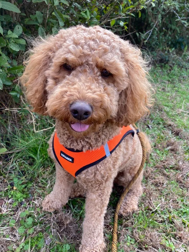 Slide of Comfort Atlanta Heating & Air