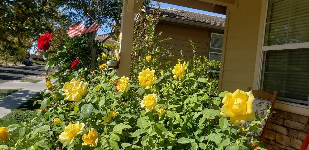 Slide of Comfort Check Heating & Air