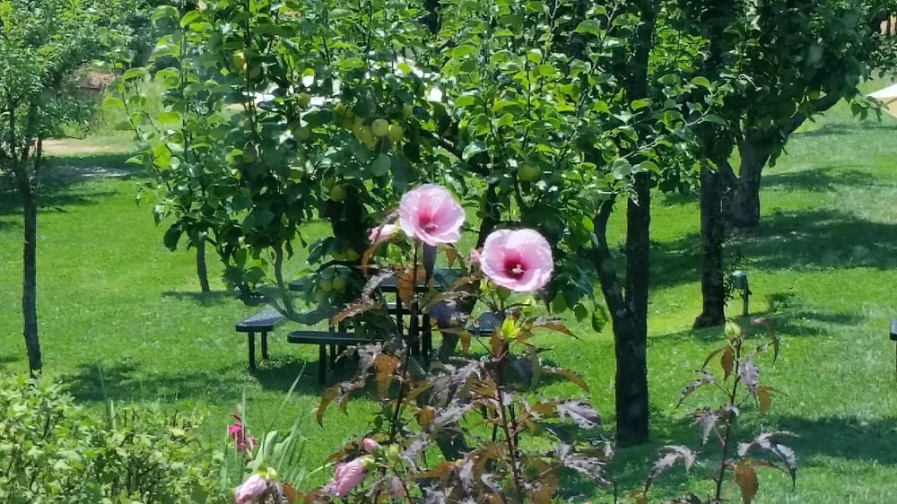 Slide of Comfort Control