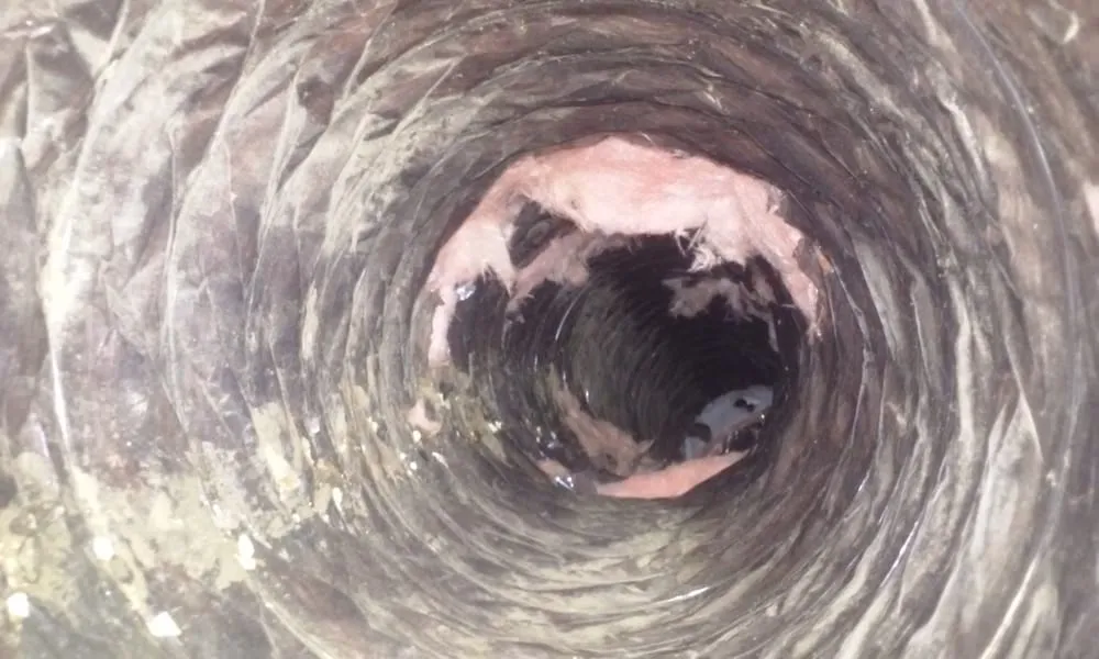 Slide of Comfort Control