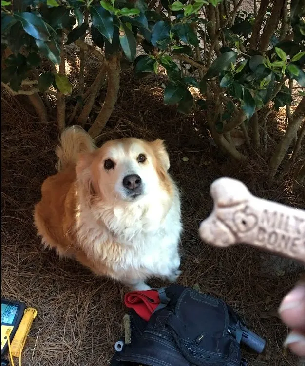 Slide of Comfort Control Heating & Air