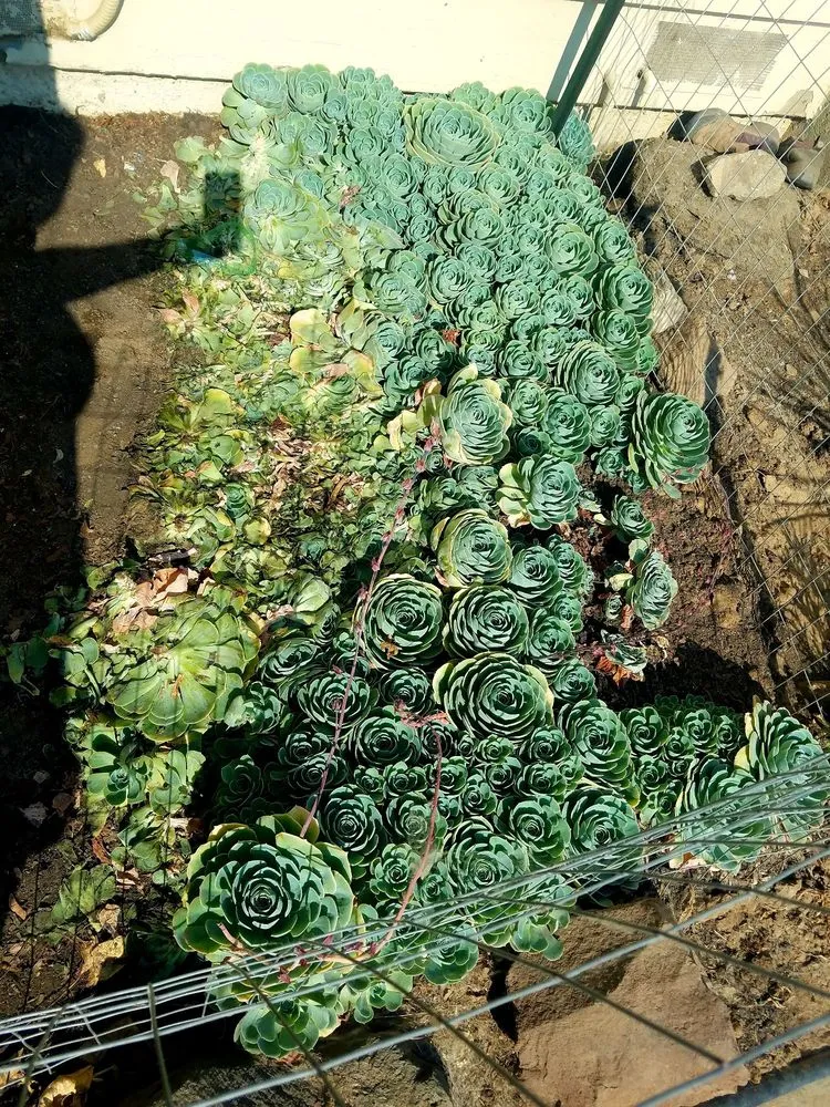 Slide of Comfort Experts Heating and Air Conditioning