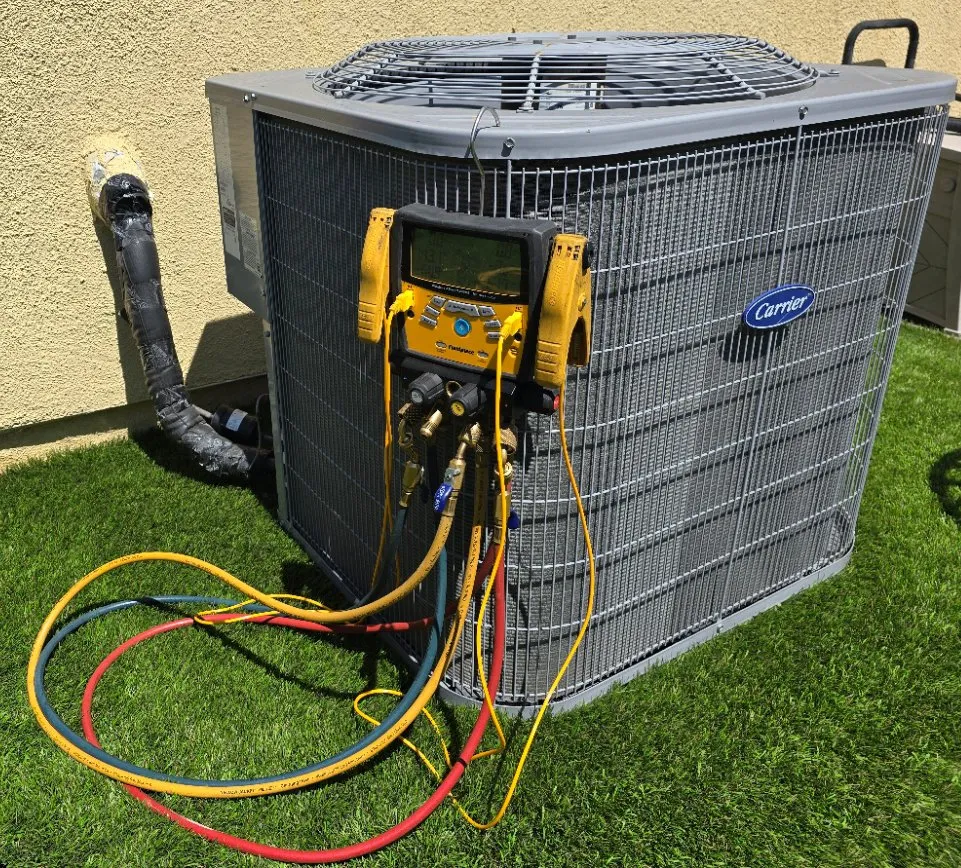 Slide of Comfort Mavericks