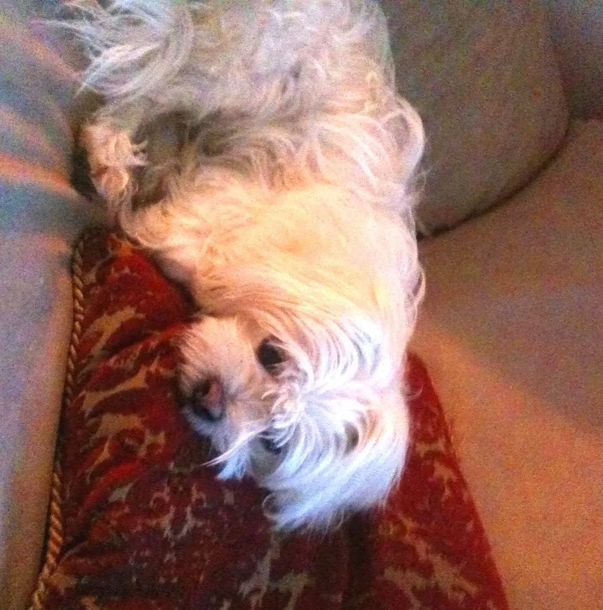 Slide of Comfort Maxx Heating & Air Conditioning