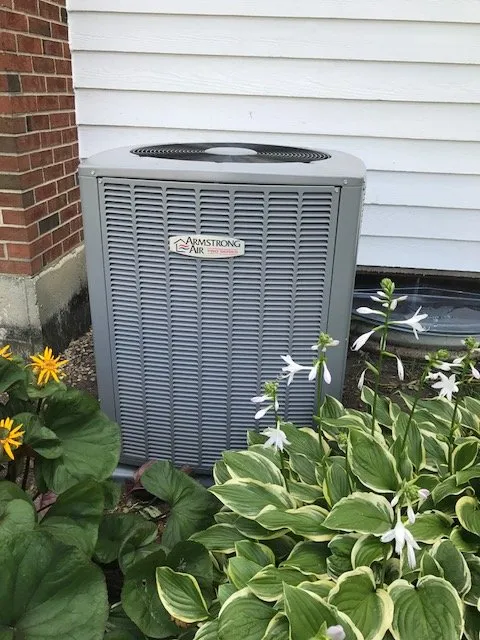 Slide of Comfort Measure