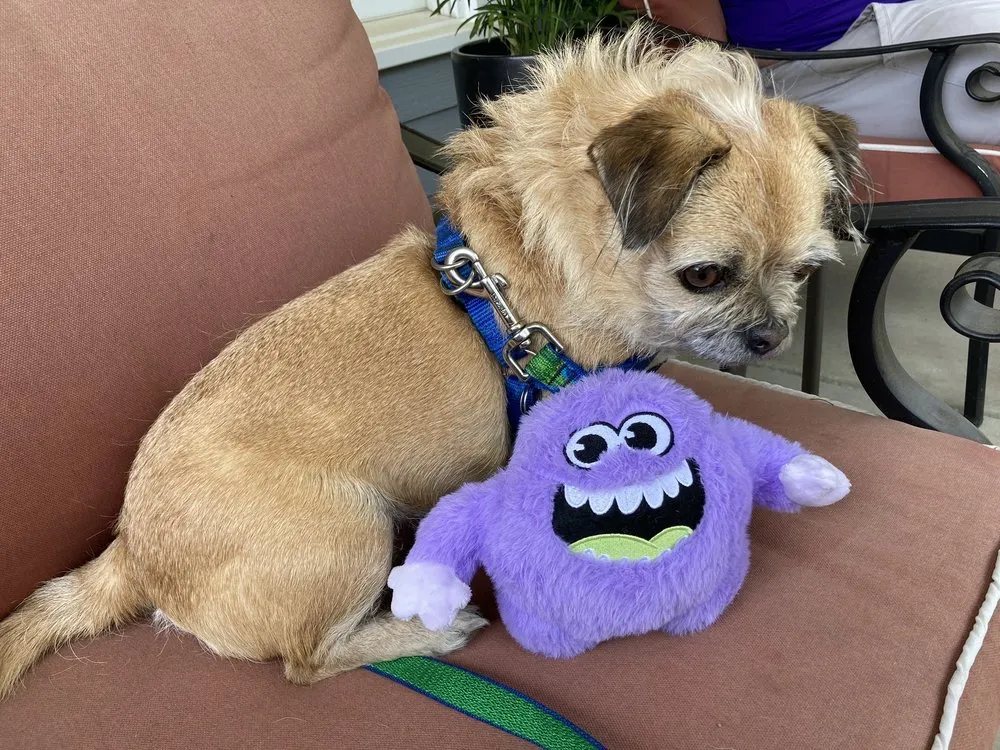 Slide of Comfort Monster Heating & Air