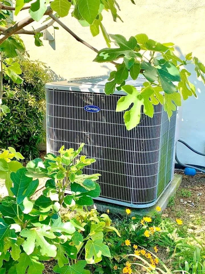 Slide of Comfort Services