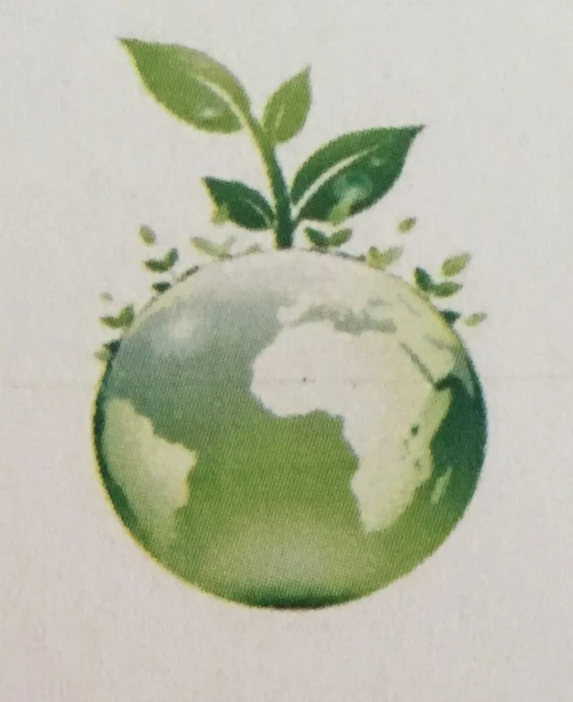 Slide of Comfort Solutions