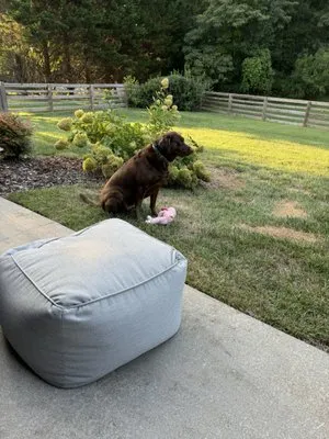 Comfort Tech Heating & Air Conditioning