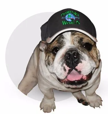 Comfort World Air Conditioning & Heating Logo