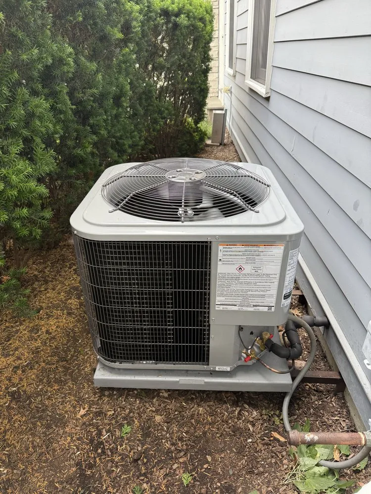 Slide of Comfort Zone