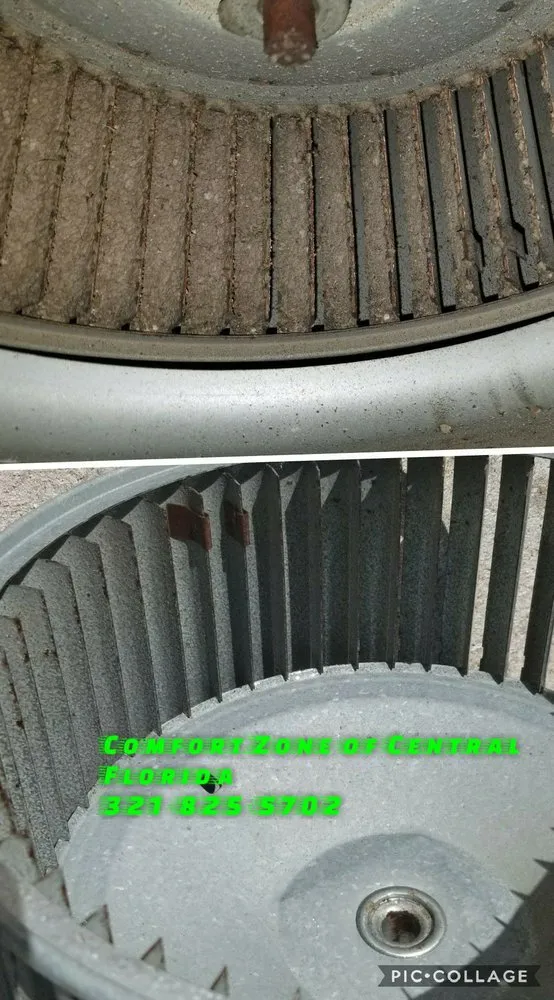 Slide of Comfort Zone of Central Florida