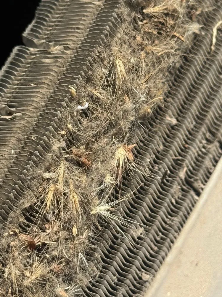 Slide of Comfortable Air