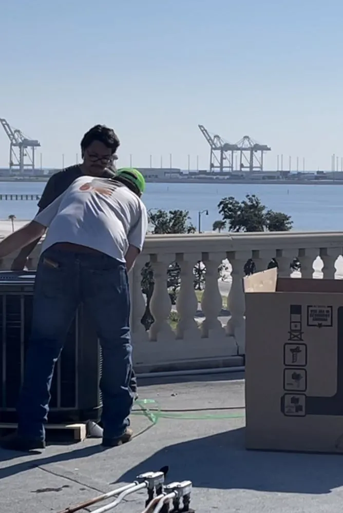 Slide of Comforts on the Coast