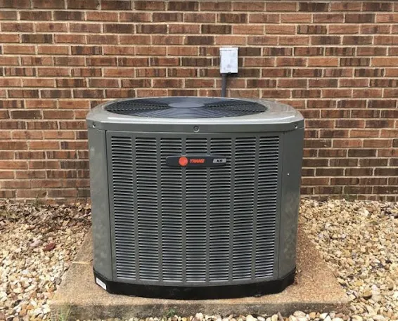 Slide of Comforts on the Coast