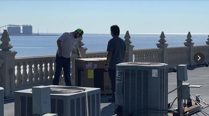 Slide of Comforts on the Coast