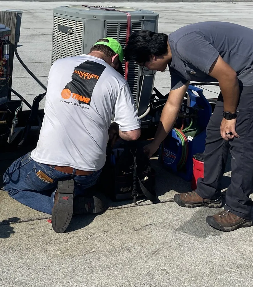 Slide of Comforts on the Coast