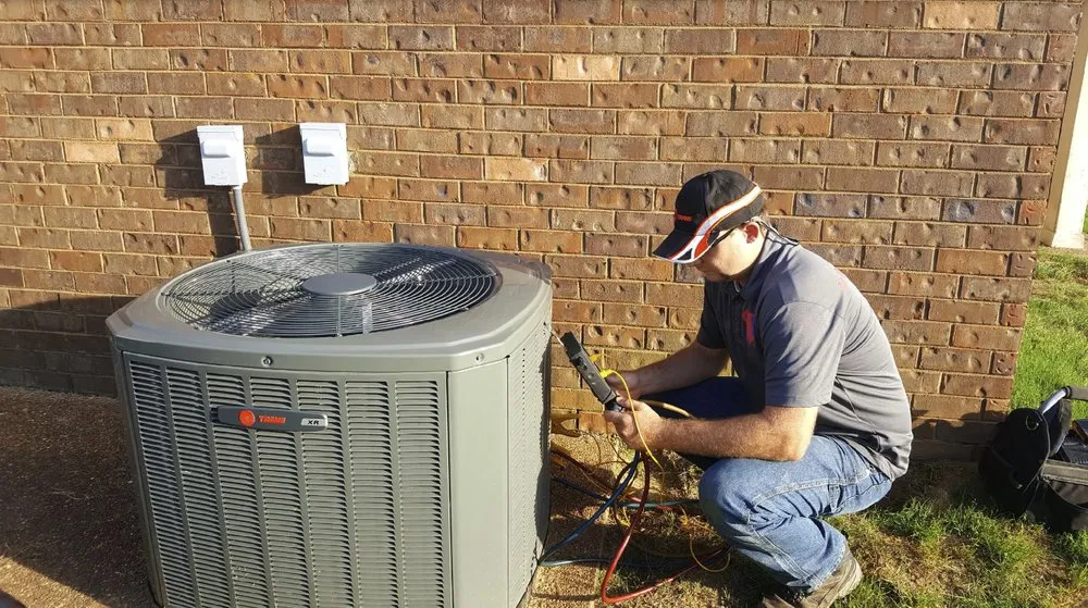 Slide of Comforts on the Coast