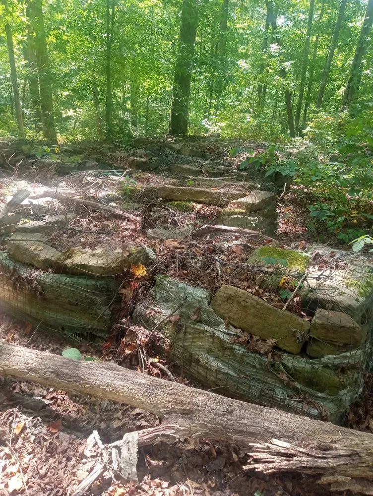 Slide of Comfy Home Solutions