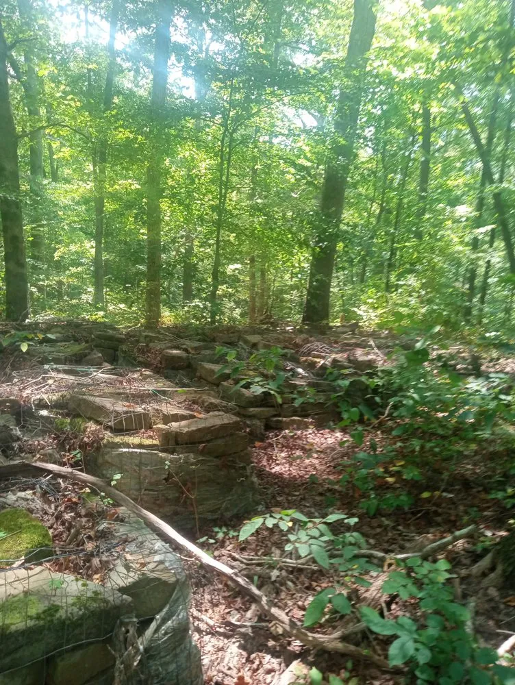 Slide of Comfy Home Solutions