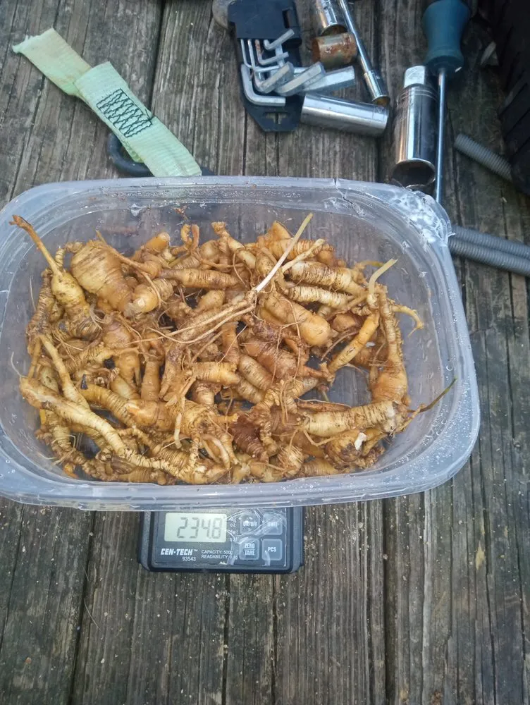 Slide of Comfy Home Solutions