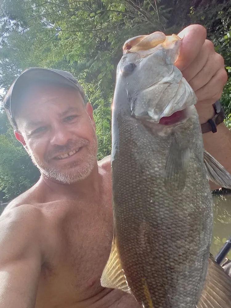 Slide of Comfy Home Solutions