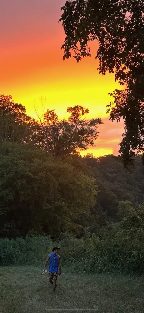 Slide of Comfy Home Solutions