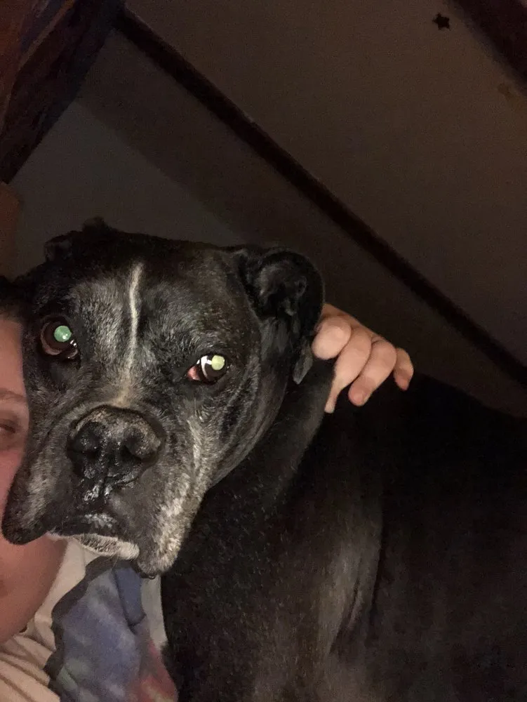 Slide of Complete Comfort Air Conditioning and Heating