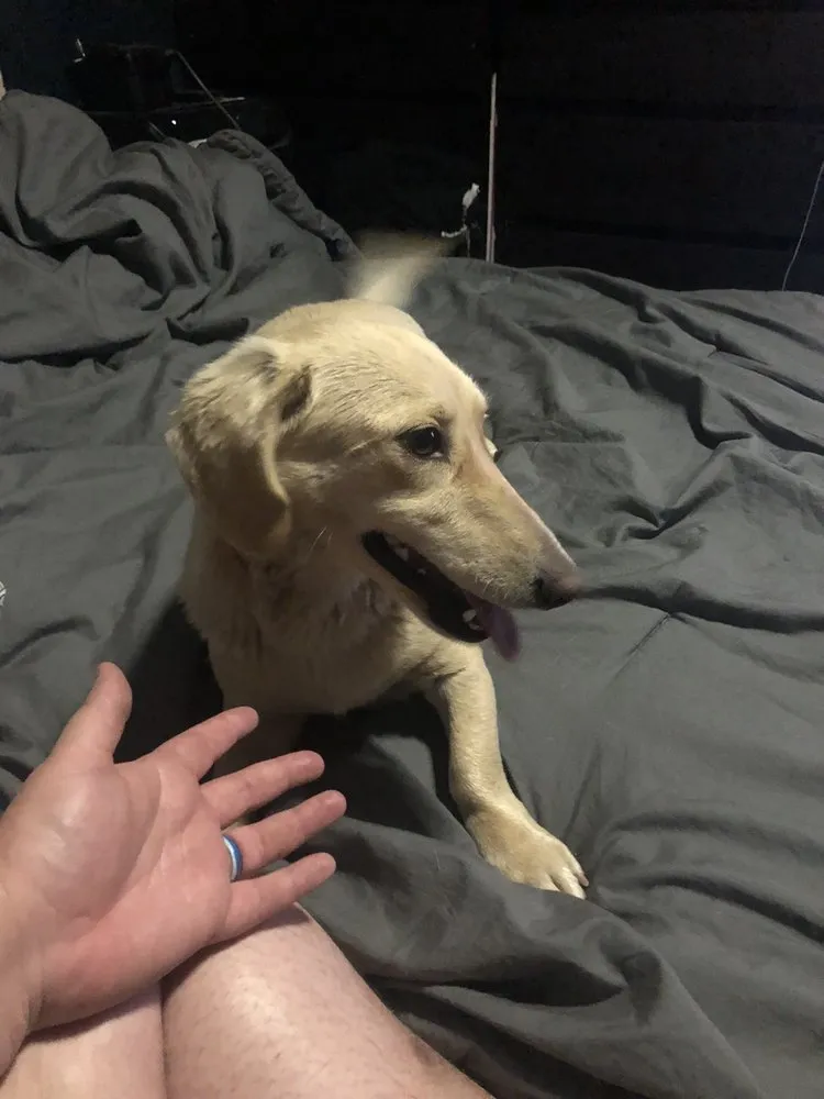 Slide of Complete Comfort Air Conditioning and Heating