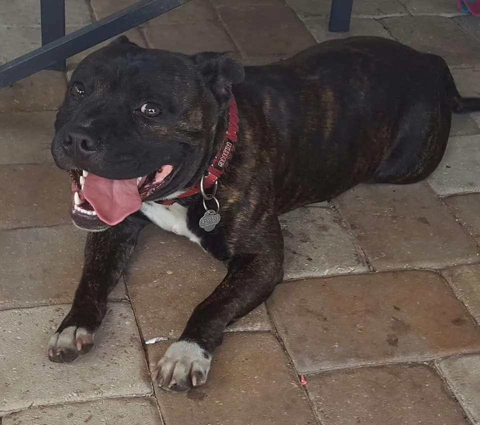 Slide of Complete Heating & Cooling