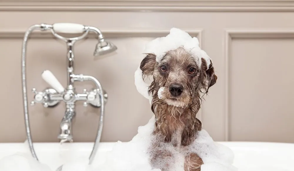 Slide of Complete Plumbing HVAC & Mechanical