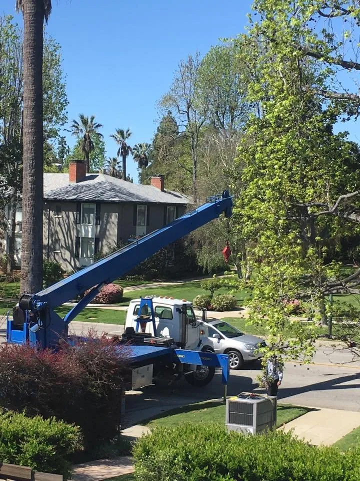 Slide of Conditioned Aire