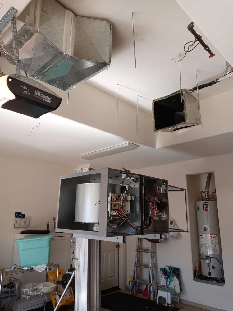 Slide of Conditioned Environment Masters